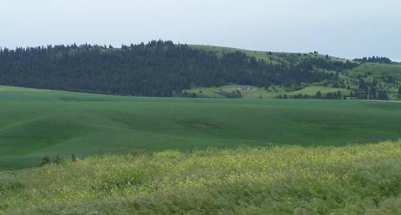 Paradise Ridge 2 Revised