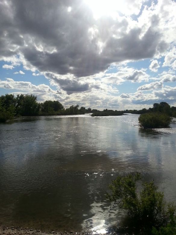 Alta Mesa Services plans to drill/frack for natural gas in Birding Island, near the Payette River Wildlife Management Area in Payette County, Idaho (Alma Hasse photo).