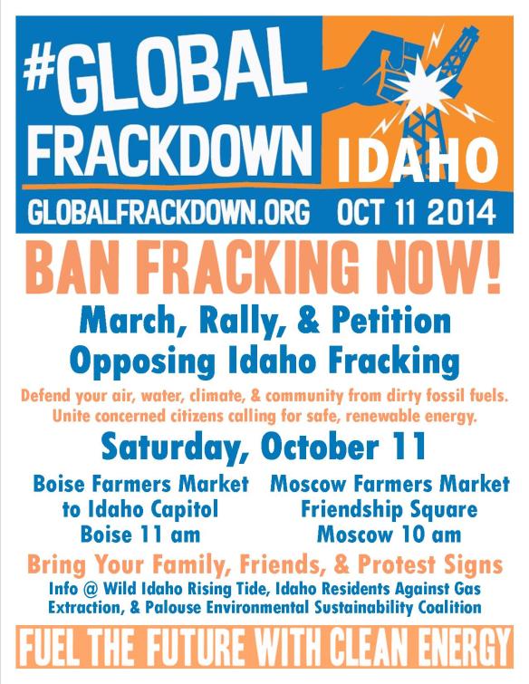 Global Frackdown Idaho Flyer