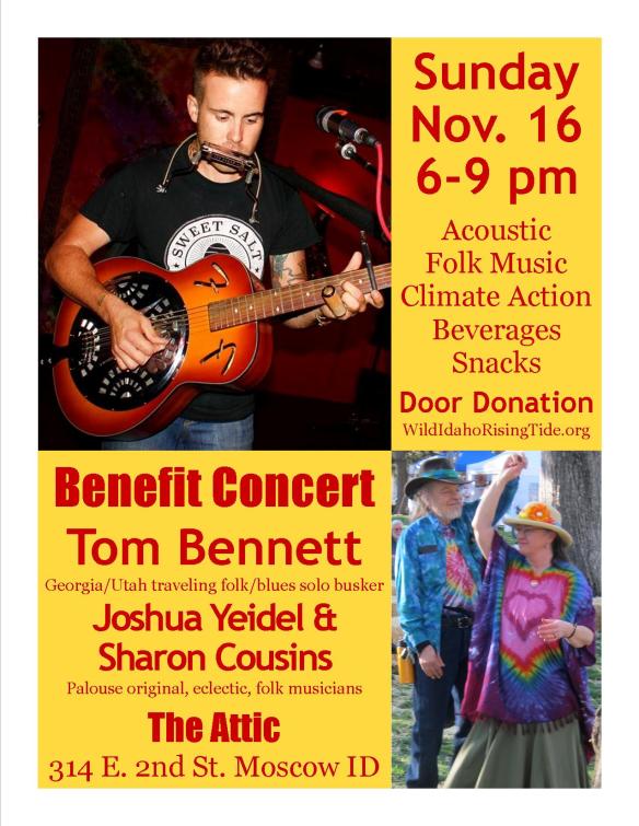 Acoustic Folk Benefit Concert Flyer