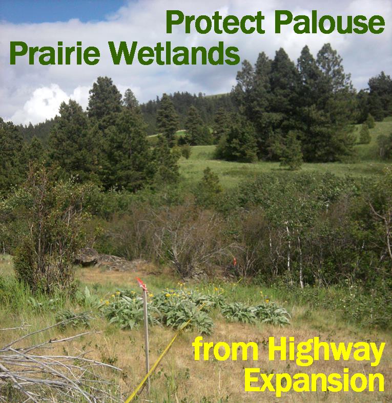 Protect Palouse Prairie Wetlands