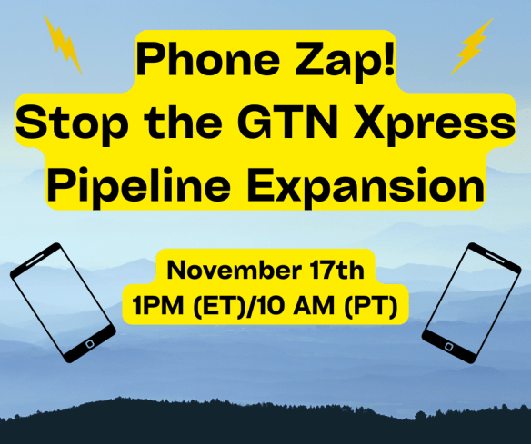 Stop GTN Xpress Phone Zap